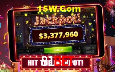 81Bet - User Statistics